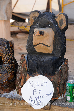 Chainsaw-Carvers-1021