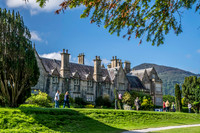 Ireland-5516