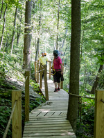 4441-Harlan_County_KY