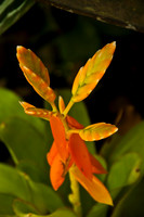 100921_3CS1121