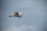 Lake-Toho-9213