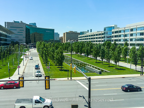 190611-L16_05016