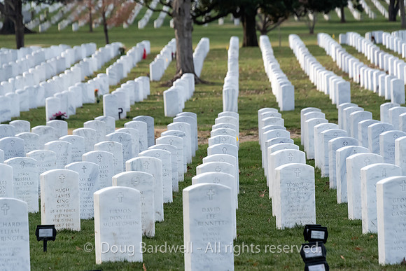 Arlington -181119-9782