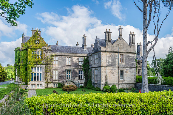 Ireland-5536