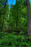 NaturalBridge-119