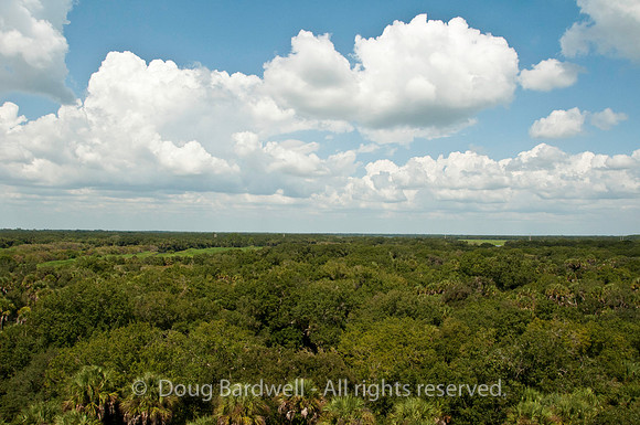 100921_3CS1095