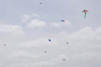 Kite-7273