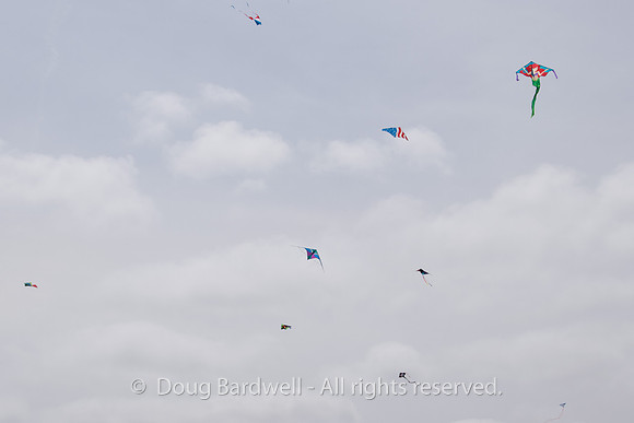 Kite-7273