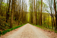 40-Great_Allegheny_Passage