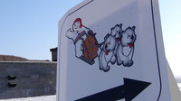 Quebec_Winter_Carnival-8302