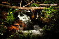 100807_3CS1353-Edit