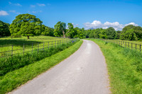Ireland-5497
