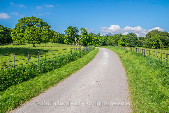 Ireland-5497