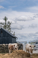 Shaker Village-5601
