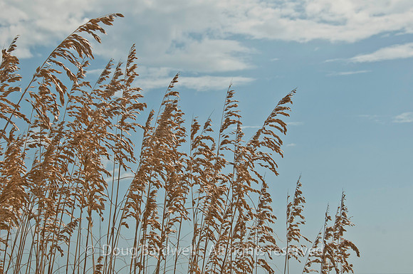 100922_3CS1489