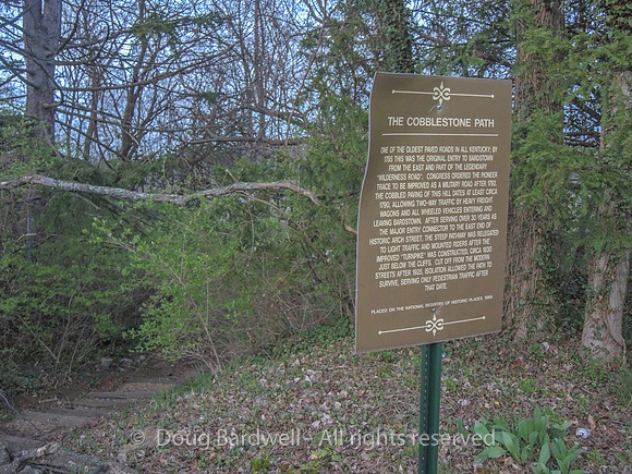 Bardstown-8047