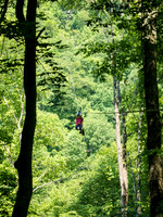 4459-Harlan_County_KY