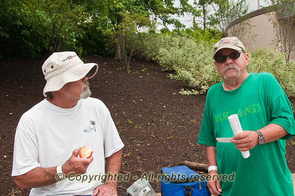 100605_3CS3817