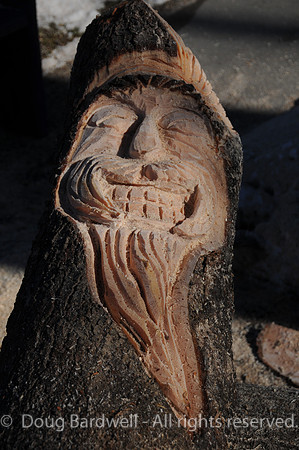 Chainsaw-Carvers-1009