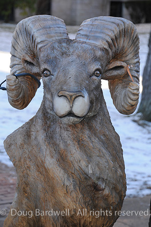 Chainsaw-Carvers-1036