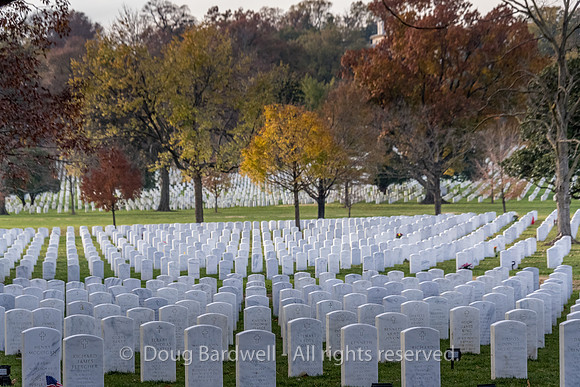 Arlington -181119-9785