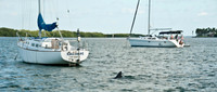 100920_3CS0702