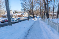 Deerfield-1365