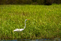 100921_3CS0965