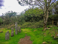 Waterfall_Farm-8845
