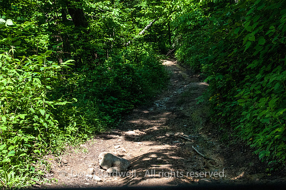 0178-Harlan_County_KY
