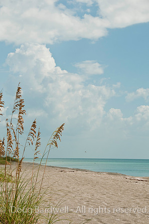 100922_3CS1444