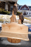 Chainsaw-Carvers-1017