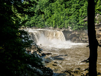 120516IMG_4312