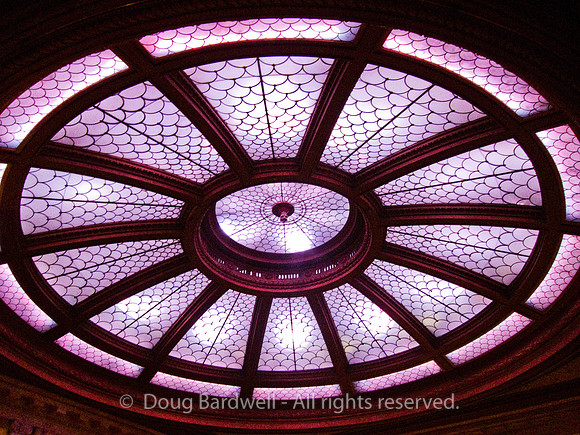 IMG_2429