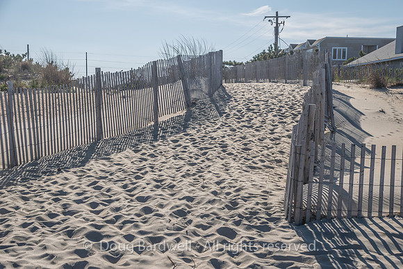DeweyBeach-8533
