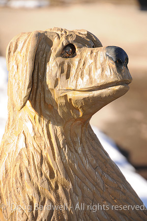 Chainsaw-Carvers-1015