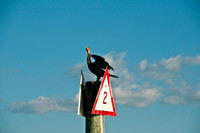 100920_3CS0766
