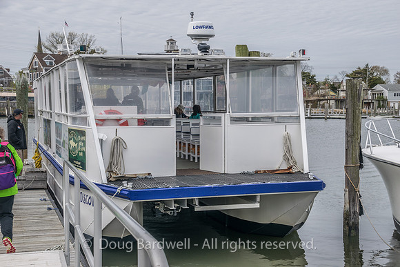 Cape Water Taxi-8639