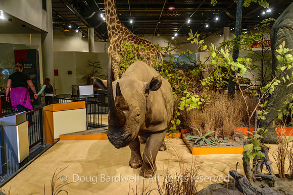 Sioux-Falls-4484