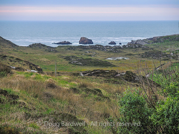 Ireland-8532