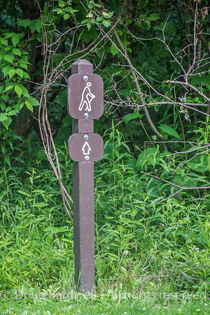 Sheldons_Marsh-8278