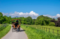 Ireland-5509