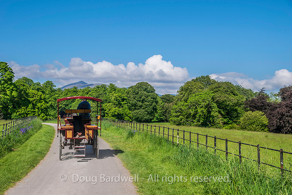 Ireland-5509