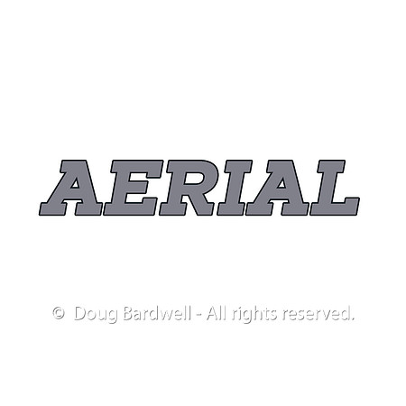 AERIAL
