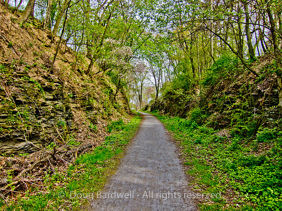 Butler_County-202