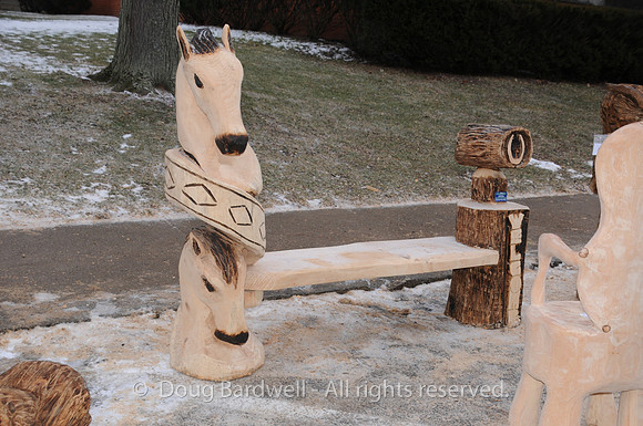 Chainsaw-Carvers-1015