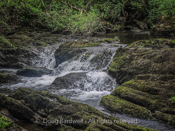Waterfall_Farm-8897