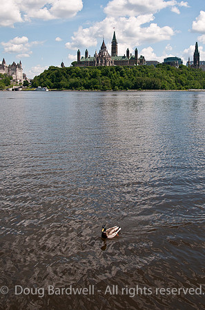 Ottawa -2-3749