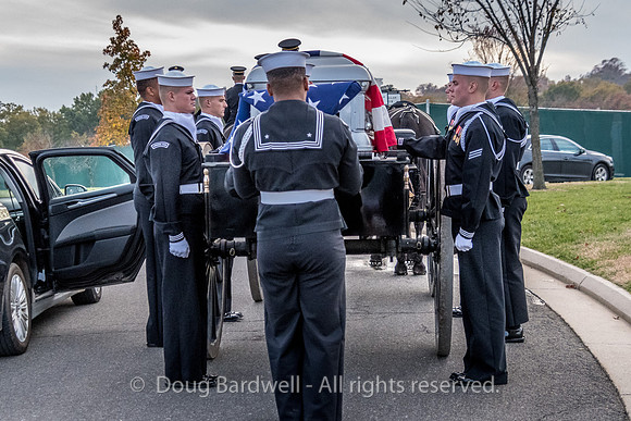 Arlington -181119-9627