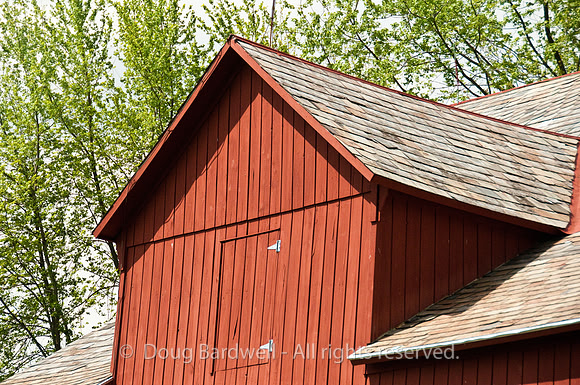 100515_3CS0492